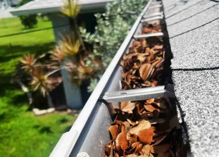 West Columbia gutter cleaning home page